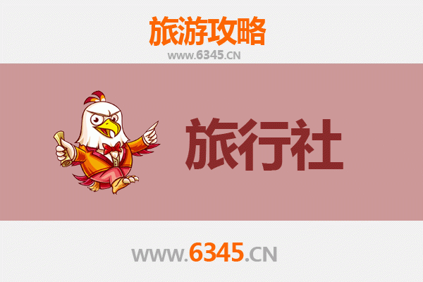 贵港旅行社精选推荐：探索荷城文化与自然风光的完美指南