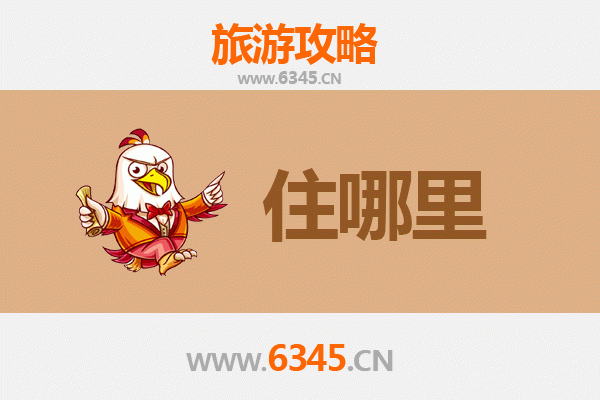 贵港旅游民宿全攻略：沉浸式体验荷城风情与田园诗意
